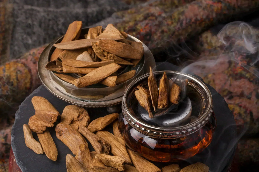 Oud — The World’s Most Mysterious Fragrance Material