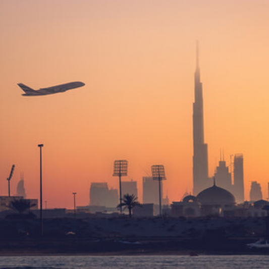 Come Fly With Me