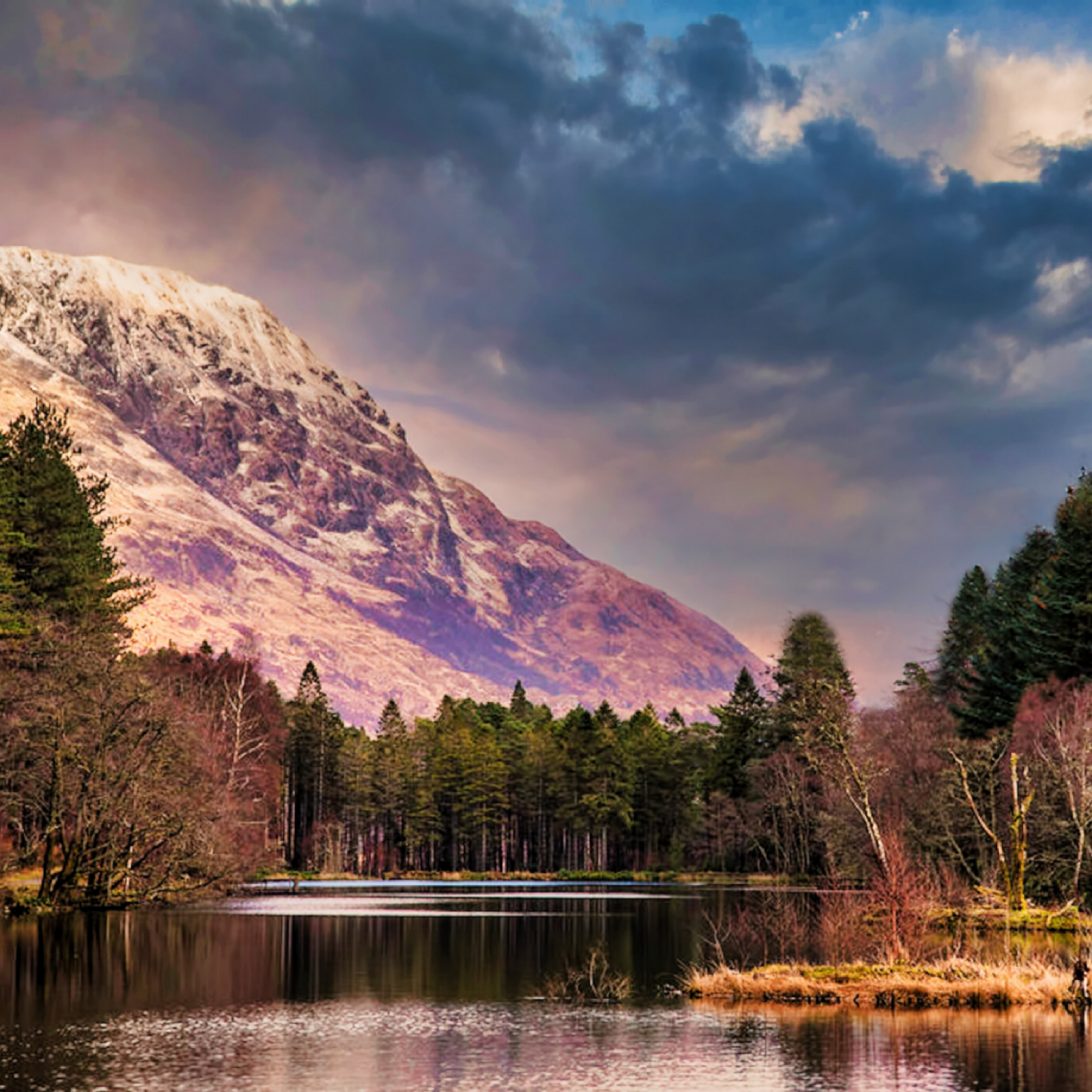 Caledonian Comfort